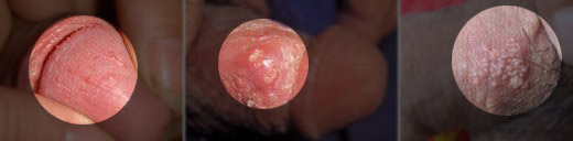 ������ֳ������֢״