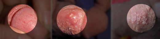 ������ֳ������֢״