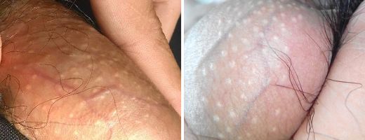 ������ֳ������